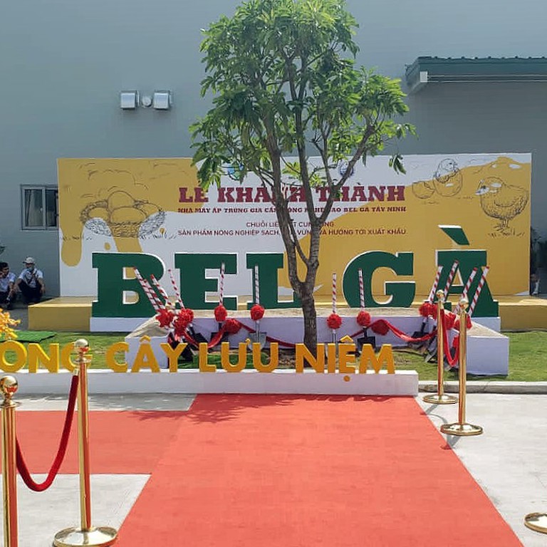 Bel Ga aumenta su cuota de mercado con una segunda planta de incubación en Vietnam