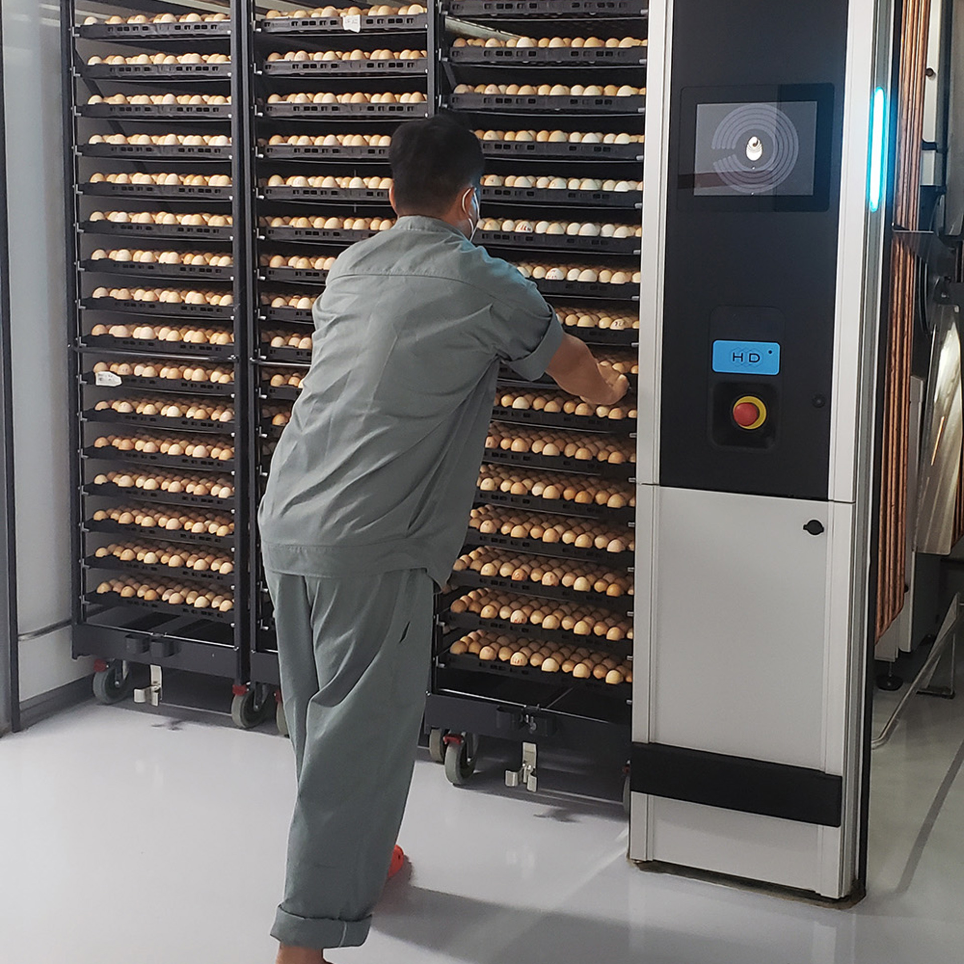 Petersime 2023 Japfa Comfeed 2