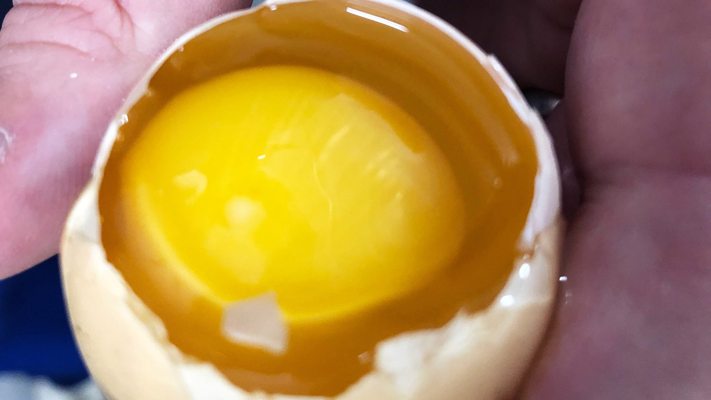 Hatching eggs the importance of assessing internal egg quality Petersime