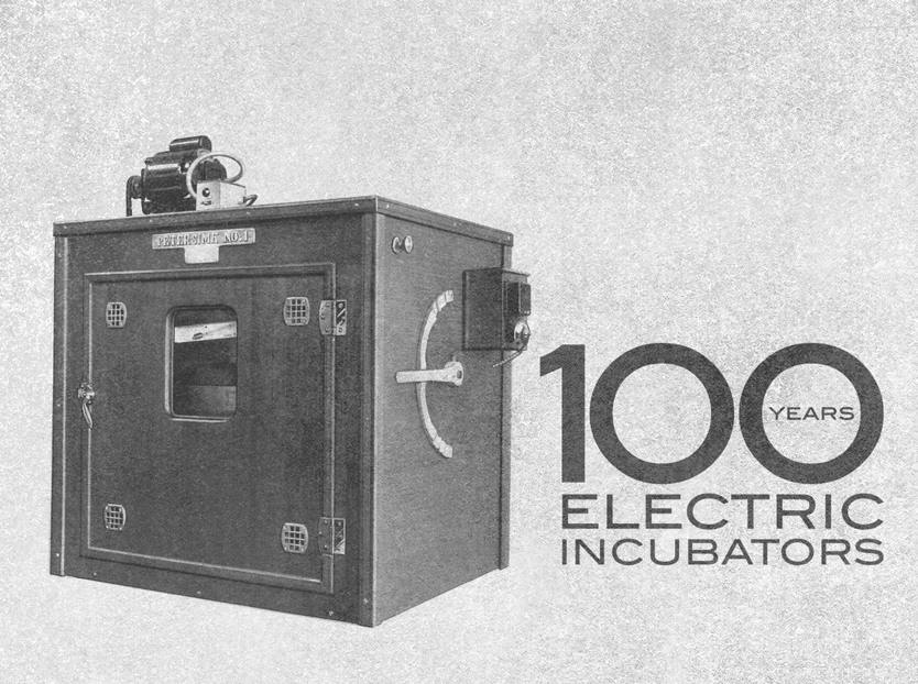 hatchery; incubation; pioneer; innovator; centennial 